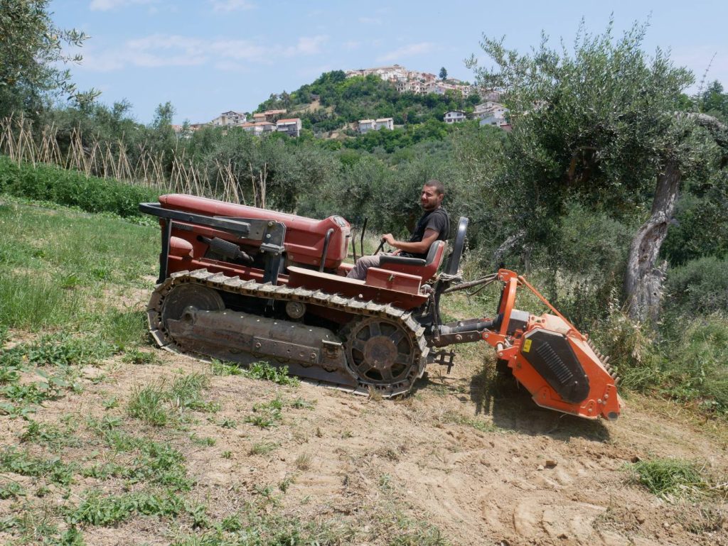 Paolo trincia
